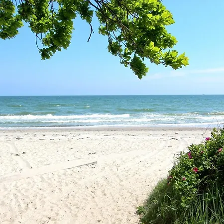 Apartment Strandnahe Rex Rugia: Terrasse Und Ahoi Erlebnisbad Lobbe