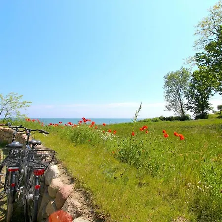 Strandnahe Mit Terrasse, Gratis Nutzung Vom Ahoi Erlebnisbad Und Sauna In Sellin - Rex Rugia 29-1 Apartment *